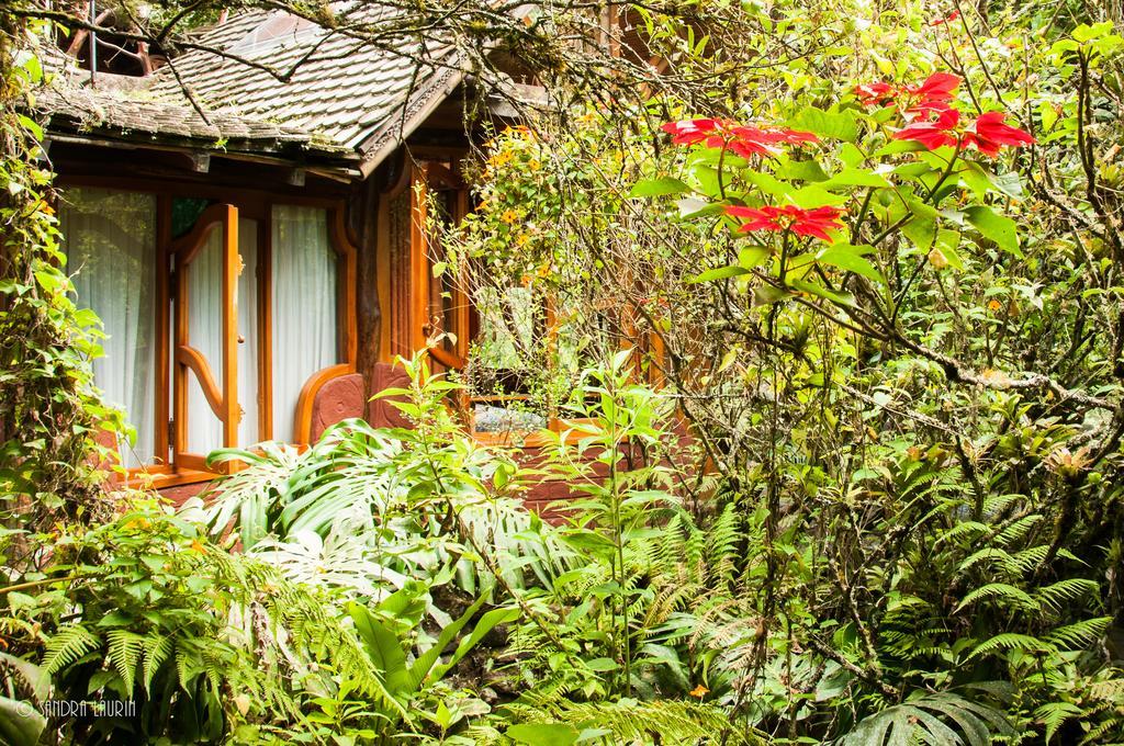 Finca Chamanapamba Guest House Baños Eksteriør bilde